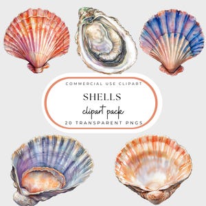Conchas marinas de acuarela PNG, imágenes prediseñadas de conchas de vieira, conchas de ostras abiertas PNG, vida marina, imágenes costeras, estilo Grand Millennial, uso comercial