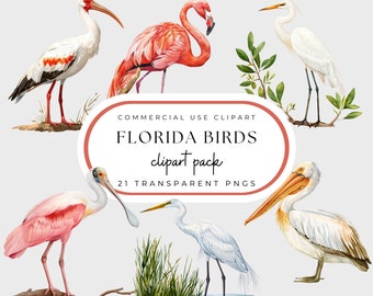 Tropical Birds Clipart. Watercolor Crane, Pelican, Egrets, Flamingos, Heron, Coastal Water Fowl, Grand Millennial Style