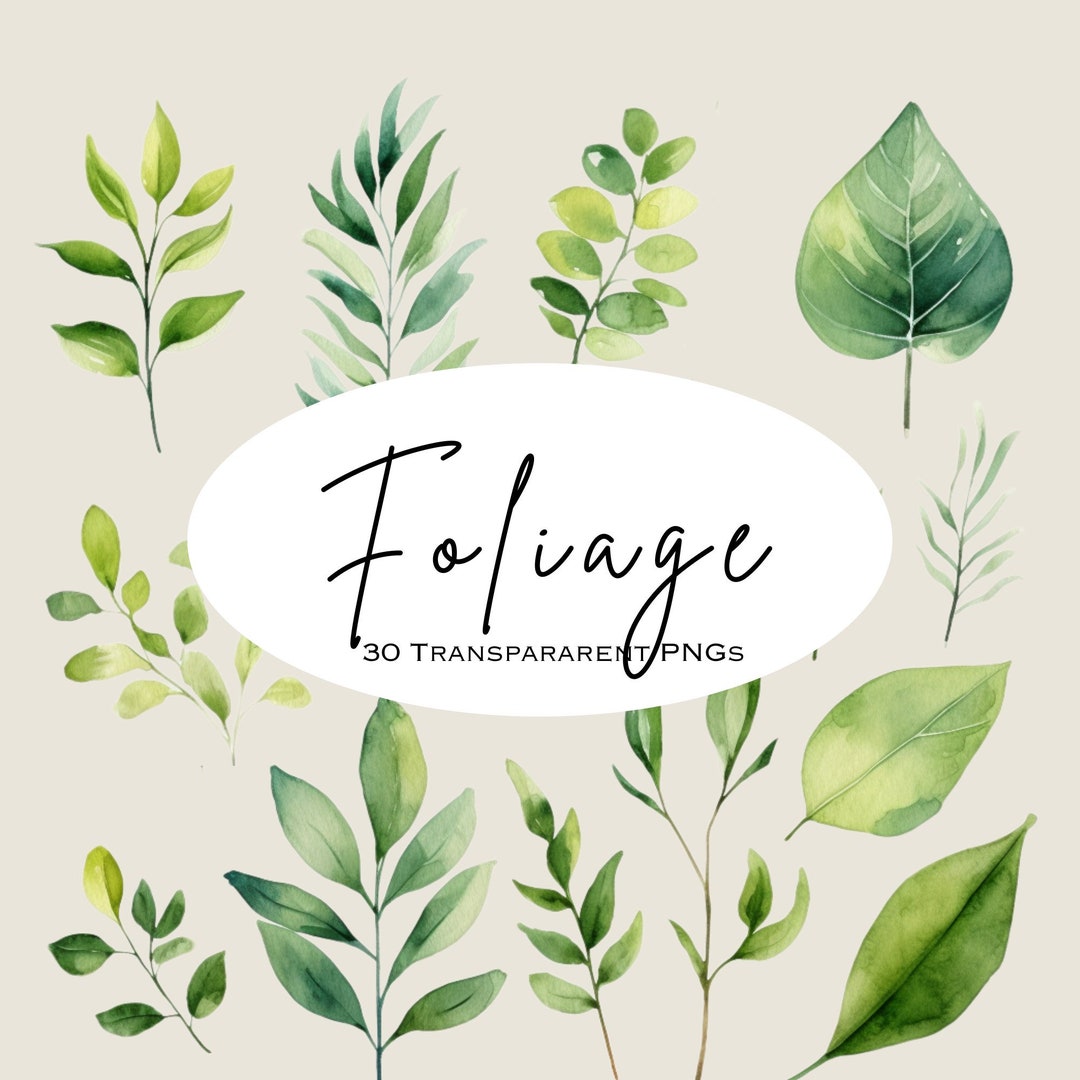 Watercolor Greenery Clipart: Eucalyptus Foliage PNG (digital Download ...