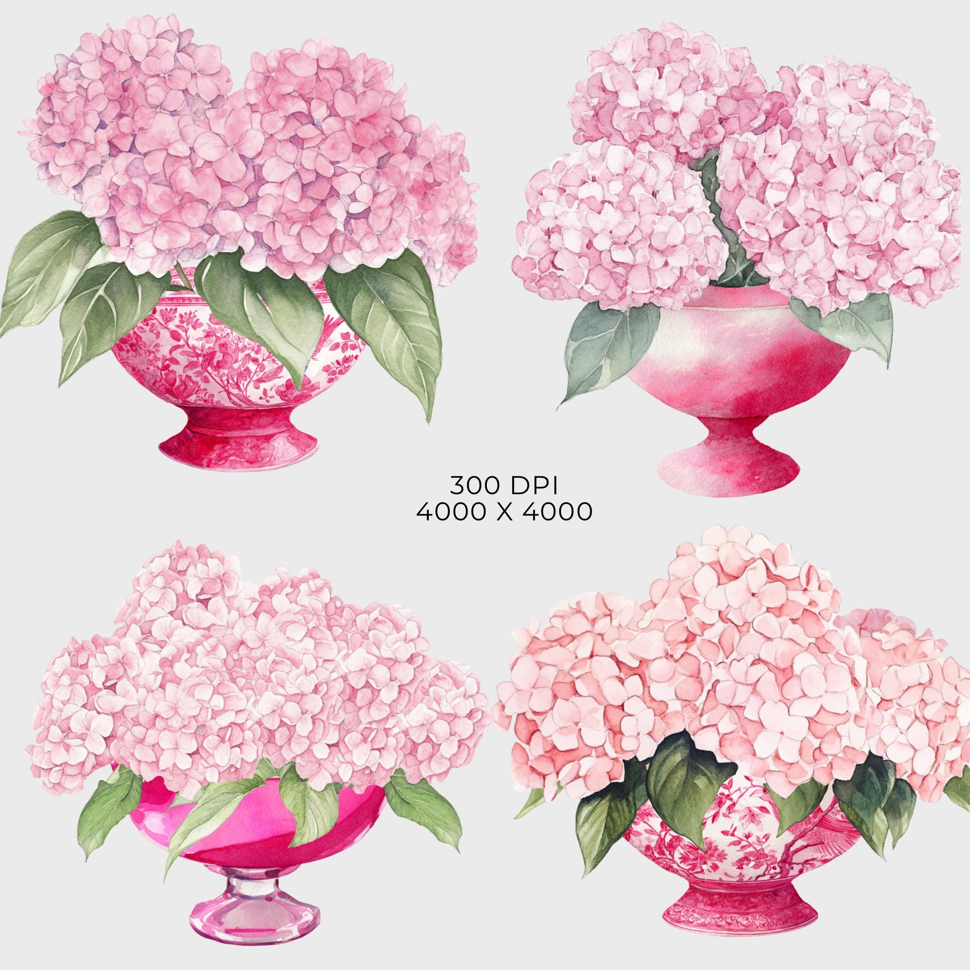Pink Hydrangea Watercolor Clipart Pack: Blue Toile, Pink Vase ...