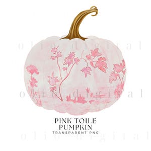 Automne PNG | Citrouille rose toile des cliparts | Citrouille florale rose et blanche PNG | Action de grâces PNG| Style Grand-Millénaire, Grand-mère côtière