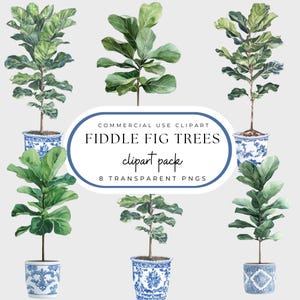 Geigenfeigenbaum PNG, Chinoiserie, botanische Clipart-Pack, blaue und weiße Toile Planters Aquarell, Zimmerpflanzen Grand Millennial Style,
