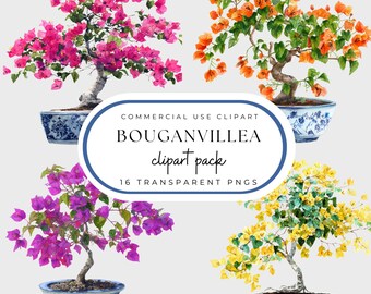 Chinoiserie Topiary Clipart: Bougainvillea in Blue & White Planters (PNG)