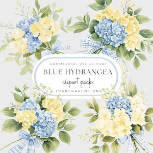 Buquê de hortênsia azul PNG, pacote de clipart de buquê de dia das mães azul e amarelo, fita de guingão azul, estilo grandioso do milênio, uso comercial