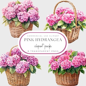ピンクのアジサイPNG、籐かごに入った花のクリップアートパック、水彩画のピンクの春の花、グランドミレニアルスタイル、海岸沿いのおばあちゃんスタイル