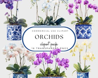 Orchids Clipart: Blue & White Planters (PNG)