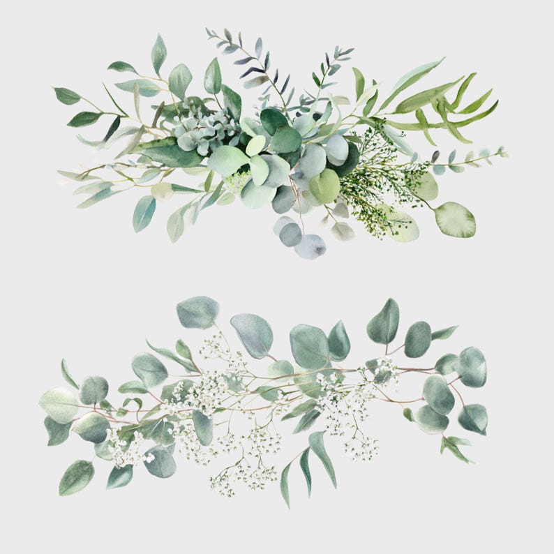 Watercolor Eucalyptus Clipart Wedding Foliage and Greenery Botanical ...