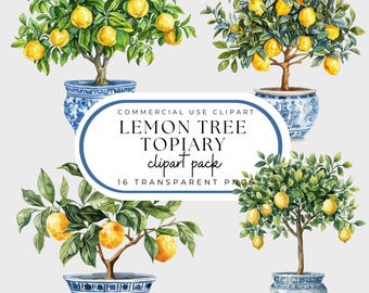 Clipart de topiaria de limoeiro: vasos de chinoiserie (PNG)