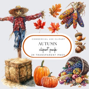 Clipart di zucca, acquerello, scena autunnale, vita in fattoria, PNG del raccolto autunnale, Ringraziamento, paesaggi autunnali, zucche, spaventapasseri, ghiande, gambi di mais