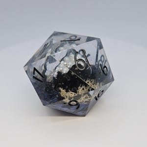 May include: A clear, multi-sided resin die with black numbers. The interior features a black design, white pearls, and dried moss. The die is designed for tabletop games and has the numbers 6, 9, 16, 17, and 19 visible.