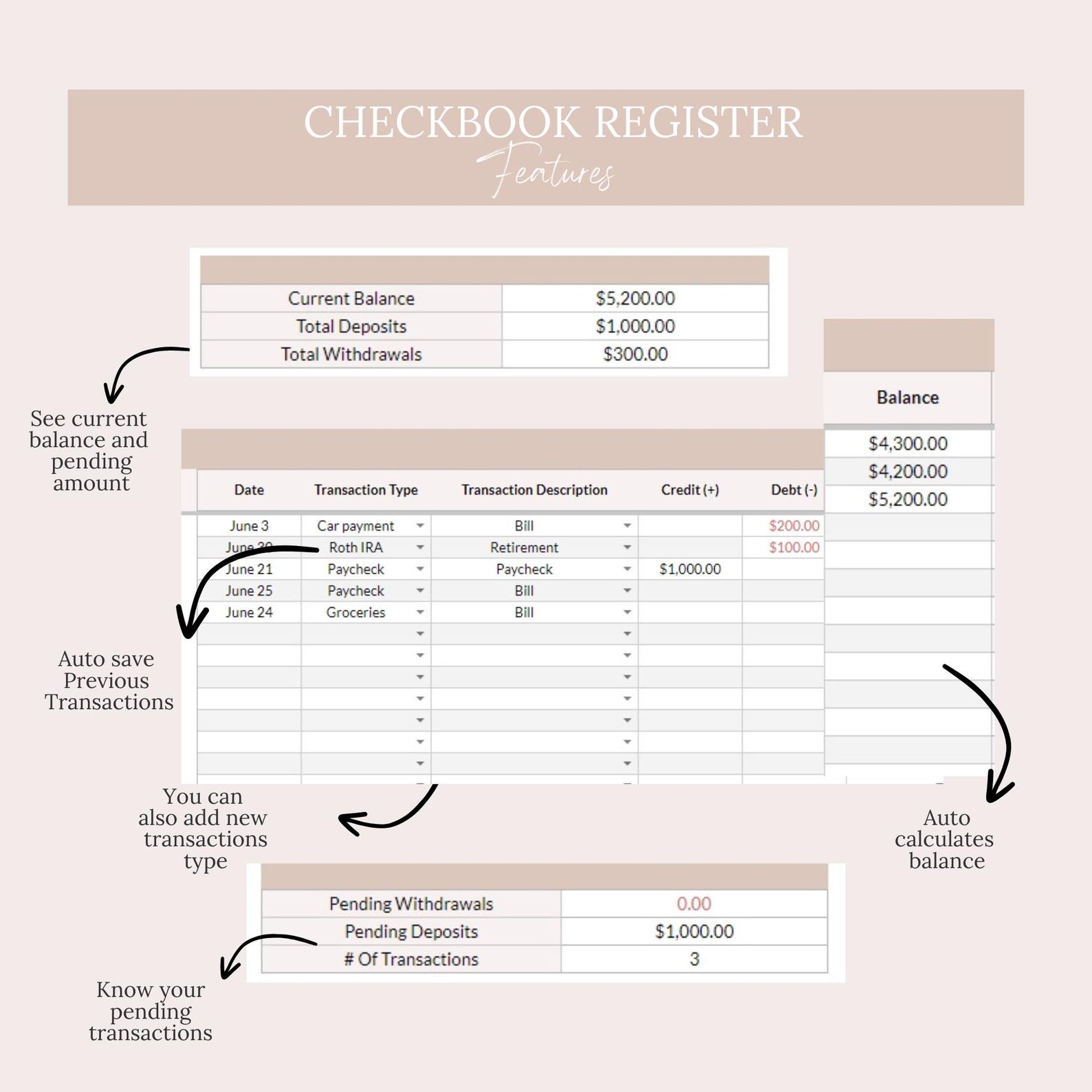 Expense Register Format Checkbook Register, For, Expense Log Digital Checkbook Register ...