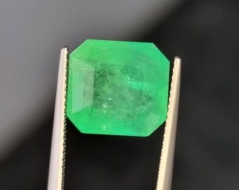Colombian 5.97 Vivid Green Emerald - Certified