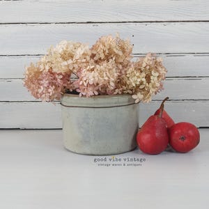 May include: A cylindrical light gray stoneware crock with a thin dark brown rim line, filled with dried pale pink and cream hydrangea blossoms, accompanied by two bright red pears. The text "good vibe vintage vintage wares & antiques" is visible.