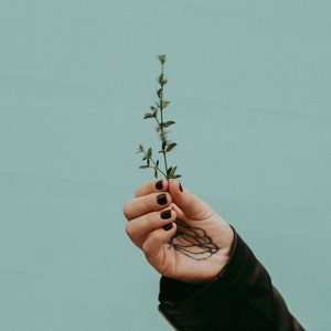 Holistisch welzijnsconsult + aangepaste kruidenformule + follow-up