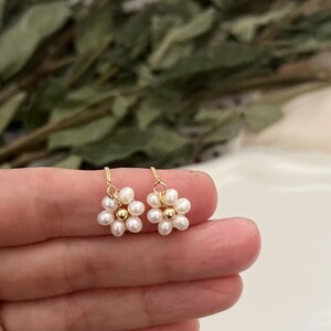 May include: A pair of gold dangle earrings with small white pearl flowers. Each flower has six pearls and a gold bead in the center.