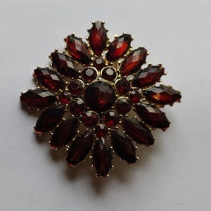 May include: A gold-toned brooch with a floral design. The brooch features numerous faceted, dark red gemstones arranged in a symmetrical pattern. The gemstones are set in a gold-colored metal frame, creating a striking contrast. The brooch is likely intended for decorative purposes.