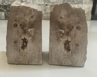 Petrified Wood Bookends, Beige, Live Edge, Set of 2