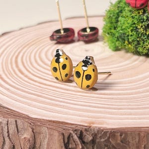 May include: A pair of ladybird stud earrings. The earrings are yellow with black spots and a black and white head. The earrings are on gold posts. The earrings are displayed on a wooden surface.