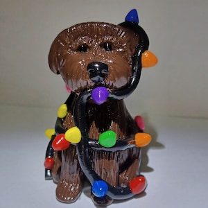 Brown Labradoodle tangled in Christmas lights