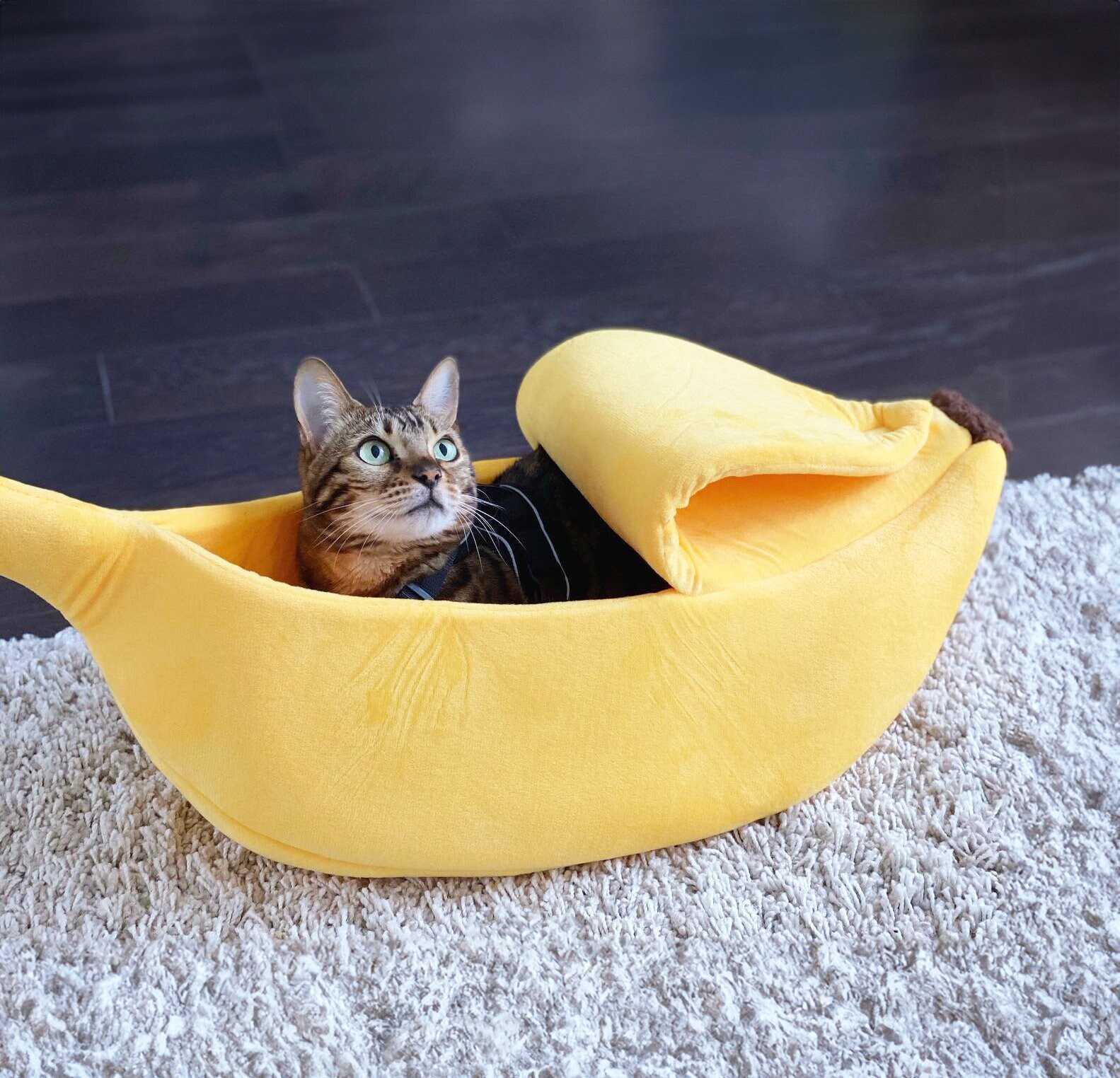 Banana Cat Bed Calming Cat Cave Pet Furniture Cat Cushion Warm Cat Blanket Pet Gifts Puppy Bed Kitten Sleep Cave Cat Lover Etsy UK