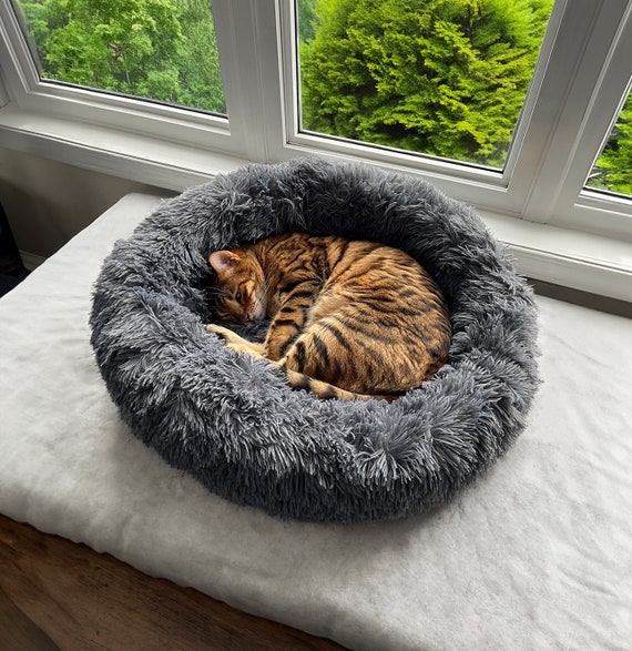 Calming cat bed 2025