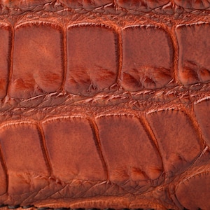Cartera Exclusiva Elaborada en Piel de Caimán y Napa de Color Marrón.