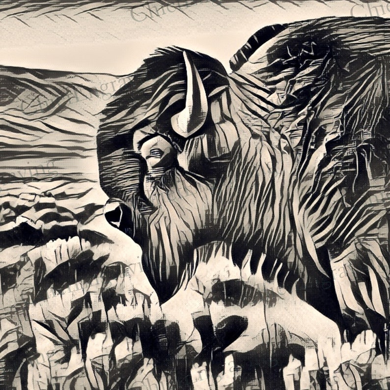 Premium Laser Engraving Art Files, Highres PNG Images for Custom