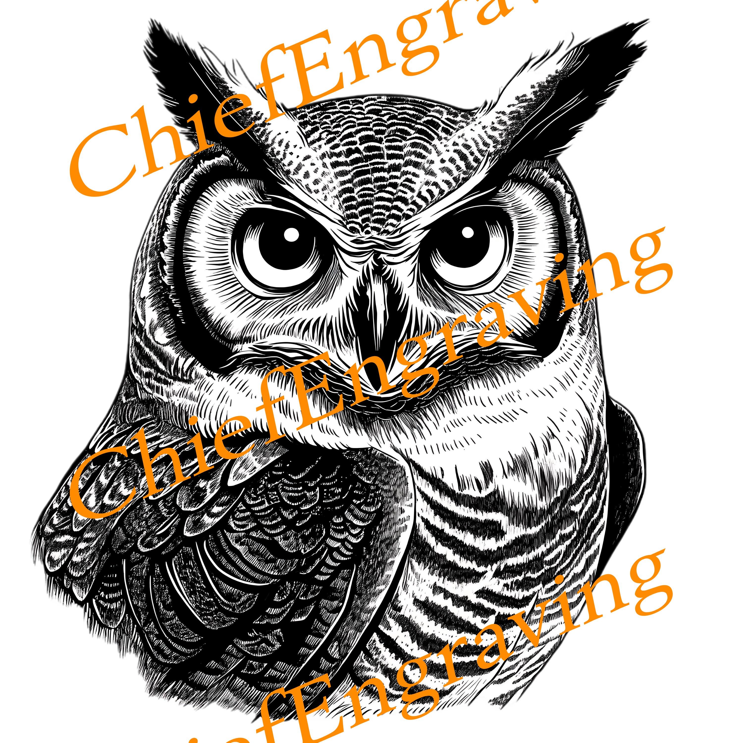 Owl PNG file for Laser engraving or for print wall art