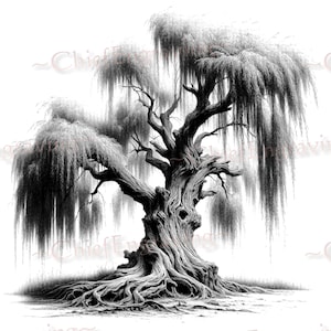 Laser File for Engraving | High Resolution PNG for Laser Crafters | 300 PPI | Old Weeping Willow Tree | DIY Laser