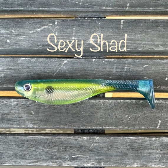 fish stopper soft plastic lure Dr.Fish 6pcs Frogs 3.2'' they offer a clean SOFT PLASTICS FISHING FOR BEGINNERS