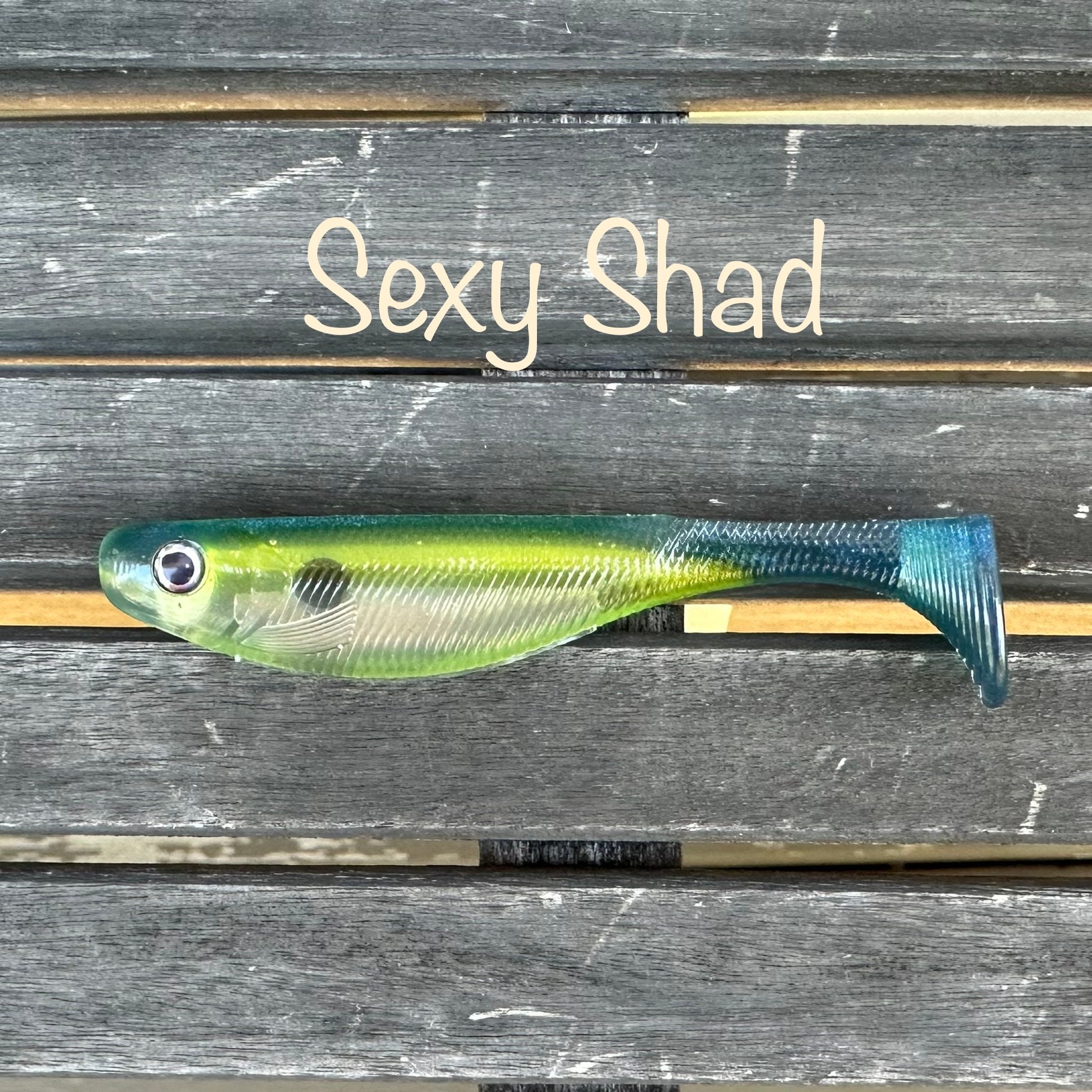 4 Shad Swimbait, custom hand poured soft plastic bass fishing lures  unscented with hook slot. Youth owned and operated business.