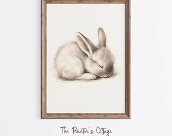 May include: A black and white illustration of a sleeping bunny rabbit in a framed print. The print is titled "The Painter's Cottage, Vintage & Original Art Collective".