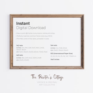 May include: A digital download guide for printable art prints. The guide lists different aspect ratios and corresponding measurements in inches and centimeters. It also includes common international paper sizes in centimeters and inches. The text at the bottom reads "The Painter's Cottage, Vintage & Original Art Collective."