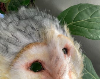 Máscara de búho