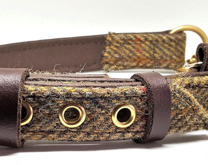 Green harris tweed brown leather martingale dog collar with solid brass hardware