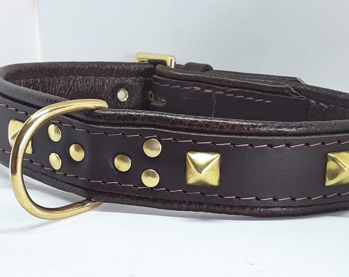 Chunky dark brown leather dog collar with studs and solid brass hardware