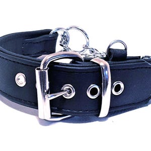 Black and black leather martingale dog collar with id tag loop