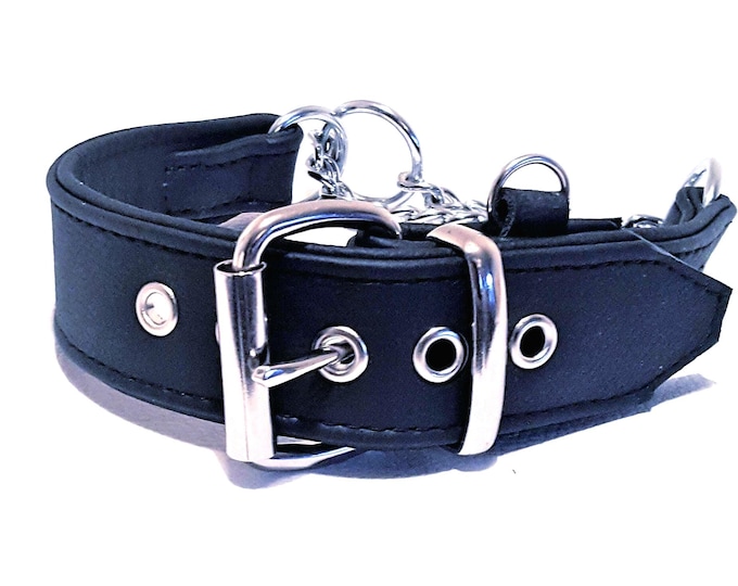 Black and black leather martingale dog collar with id tag loop