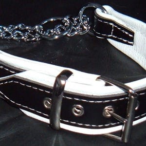 Black on white leather martingale dog collar