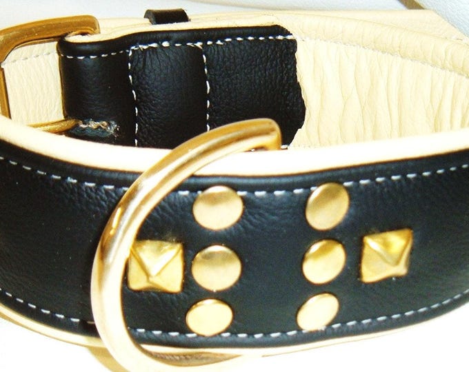 Black on cream leather dog collar with studs and solid brass hardware