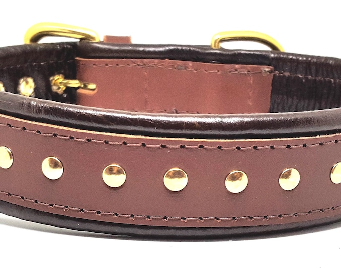 Tan and brown studded leather dog collar with solid brass hardware and brown stitching