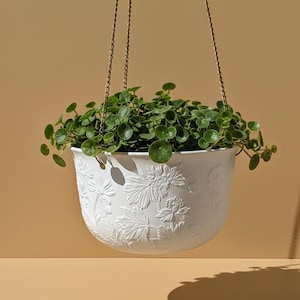 Peut inclure: Un pot de fleurs suspendu blanc avec un motif floral en relief, rempli de plantes vertes à feuilles. Le pot est suspendu par une chaîne dorée sur un fond beige. La plante a de petites feuilles rondes.