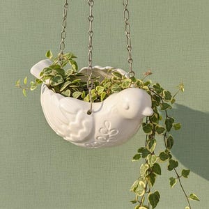 May include: A white ceramic bird-shaped hanging planter, filled with green and variegated ivy. The planter is suspended by a silver chain against a light green backdrop. The bird planter has embossed details.