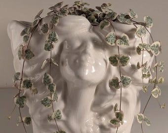 Vintage Sculptural Spanish Face Ceramic Planter — 1980s Art Nouveau Revival — White Crackle Glaze Head Vase — Modernist Botanical Artifact