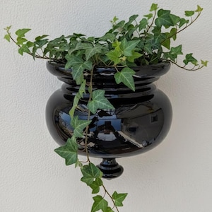 Può includere: Un vaso nero lucido da parete, con un corpo arrotondato e una parte superiore ampia, pieno di edera verde. La superficie lucida riflette la luce, creando un contrasto con l'edera pendente. Il vaso è montato su un muro bianco.