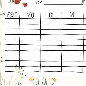 Stundenplan A4 Marienkäfer | boho Stundenplan für Kinder handgezeichnet Stundenplan Blumen Gräser Geschenk zur Einschulung Schuleinführung
