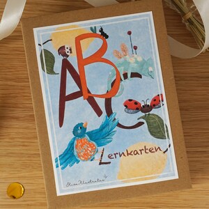 ABC Karten | abc Lernkarten Alphabet Buchstabenkarten mit Groß- u Kleinbuchstaben, Lautunterscheidungen und abc Übungen auf der Rückseite