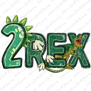 May include: Green and white dinosaur themed design with the number 2 and the word REX. The design is distressed and has a vintage look.