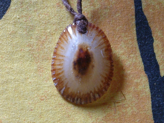 Opihi shell necklace outlet