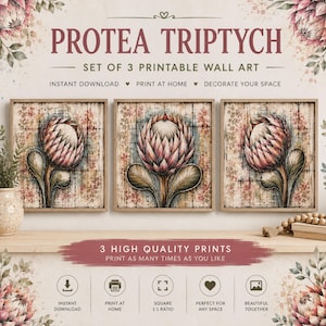 May include: A triptych of three square wall art prints featuring pink and green protea flowers on a textured background with grid lines. The text reads PROTEA TRIPTYCH, SET OF 3 PRINTABLE WALL ART, and 3 HIGH QUALITY PRINTS.